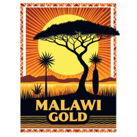 Malawi Gold - 10 pack Malawi Gold - 10 pack