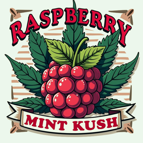 Raspberry Mint Kush F1 - 10 pack