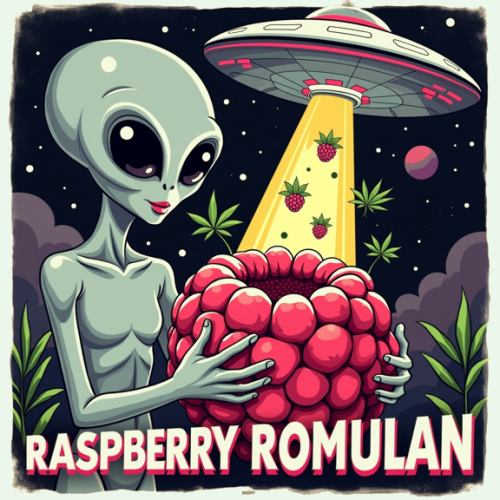 Raspberry Romulan F1 - 10 pack