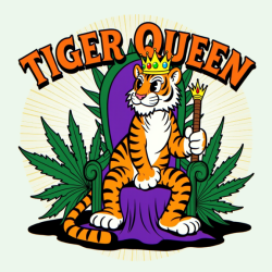 Tiger Queen F1 - 10 pack